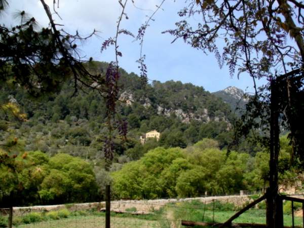 Die Gärten von Alfabia, Mallorca Die Gärten von Alfabia, Mallorca
