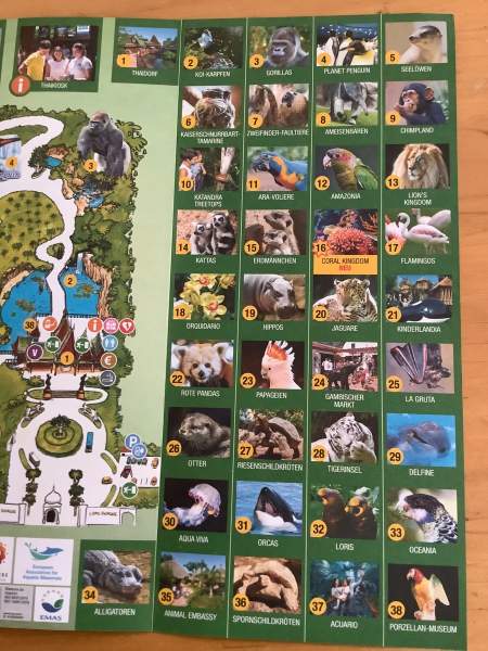 Loro Parque Teneriffa Juli 2024 Loro Parque Teneriffa Juli 2024