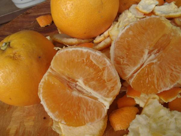 Orangen aus Mallorca Orangen aus Mallorca