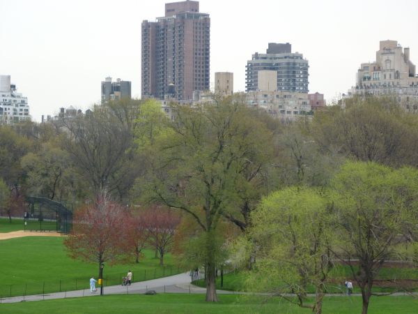 Central Park Central Park