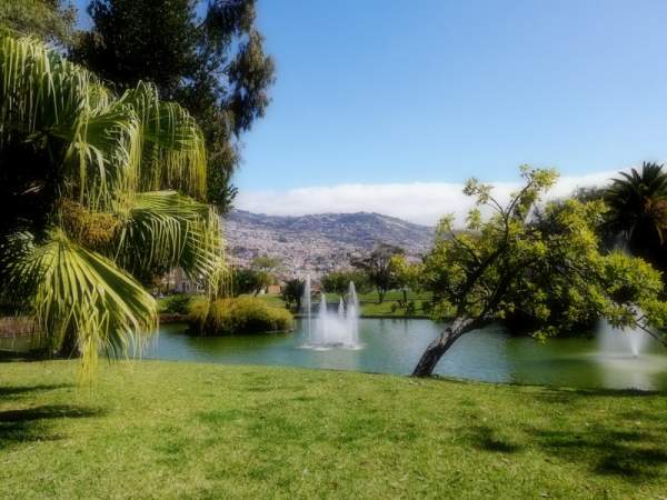 Santa Catarina Park in Funchal/Madeira