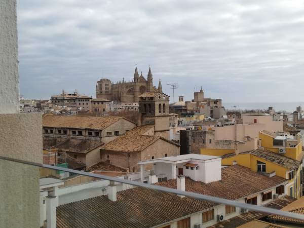 Hotel Almudaina in Palma de Mallorca - Jan. 2020