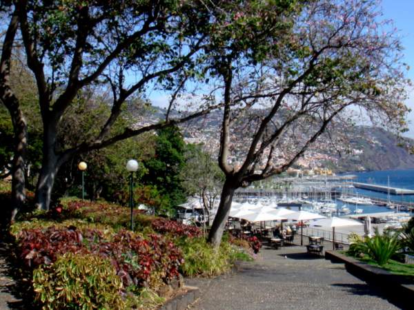 Santa Catarina Park in Funchal/Madeira