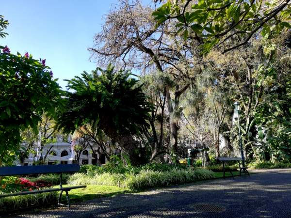 Parks in Funchal / Madeira - Jardim Municipal (Stadtpark)