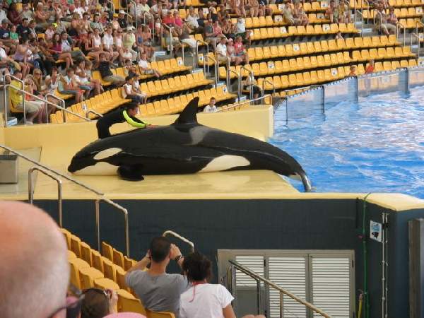 Loro Park auf Teneriffa