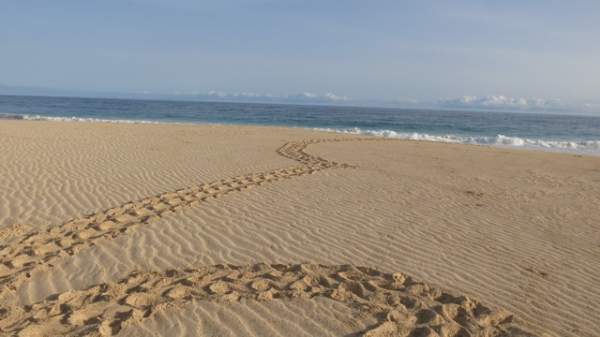 RIU Touareg - September 2019 RIU Touareg - September 2019
