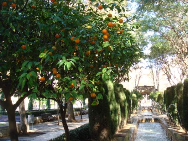 Mallorca Januar 2015 Mallorca Januar 2015