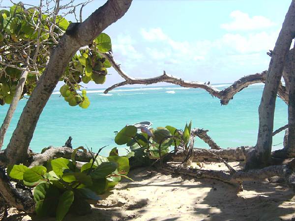 Riu Taino, Strand Impressionen