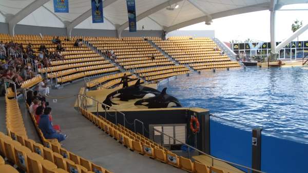 Loro Parque Puerto de la Cruz Tenerife