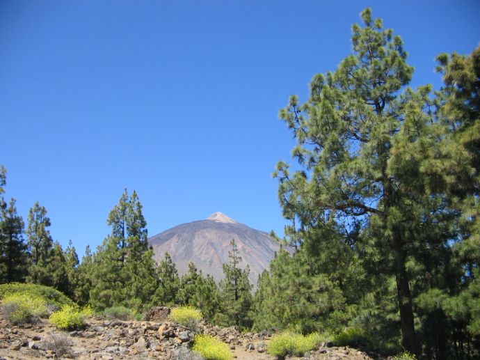 El Teide - Vulkangebiet / Teneriffa