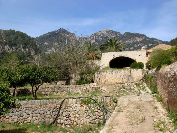 Die Grten von Alfabia, Mallorca