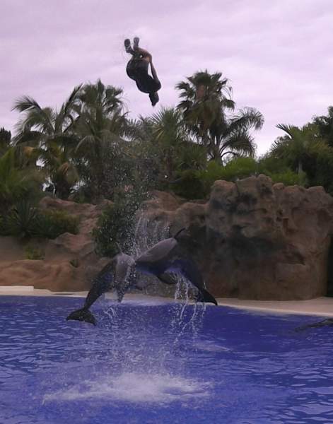 Loro Parque Teneriffa im Mai 2015