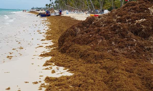 Punta Cana Strand Mai 2018