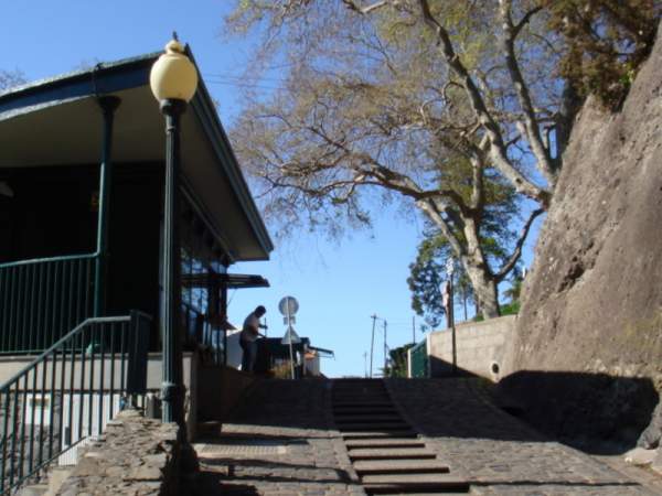 Botanischer Garten Funchal / Madeira