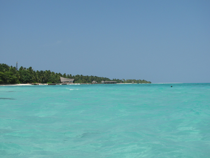 im Wasser im Wasser