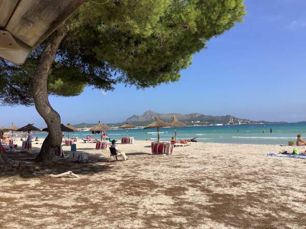 An der Playa de Muro / Mallorca Okt. 2021