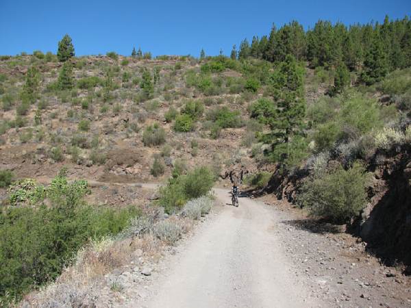 Mountainbike - Teneriffa