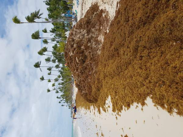 Traumstrand Punta Cana 05/18