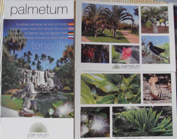 Hotel Maritim Tenerife Februar 2016, Teneriffa Hotel Maritim Tenerife Februar 2016, Teneriffa