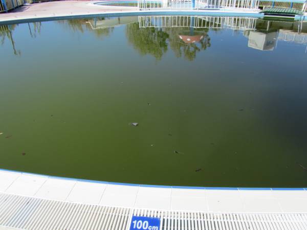 RIU Kaya Belek