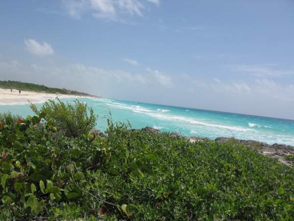 Riu Yucatan Riu Yucatan