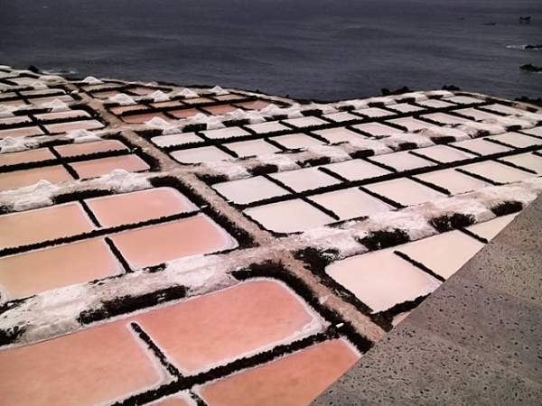 La Palma, Kanarische Inseln, Juli 2015 La Palma, Kanarische Inseln, Juli 2015
