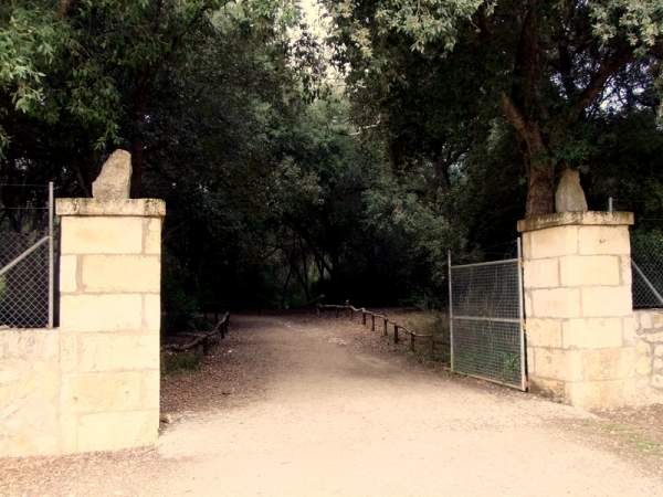 Ausflug zur Finca Gabelli petit bei Campanet, Mallorca