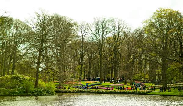 Keukenhof - ehemaliges Jagdschlo bei Lisse / Holland