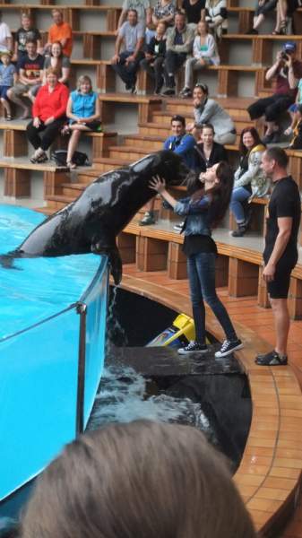 Loro Parque Puerto de la Cruz Tenerife