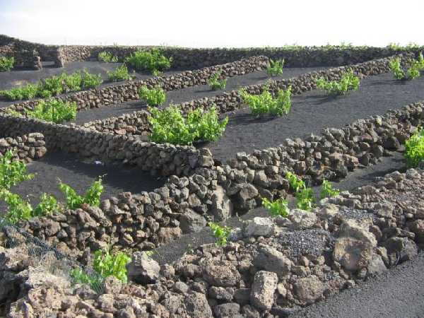 Vulkangebiet auf Lanzarote Vulkangebiet auf Lanzarote
