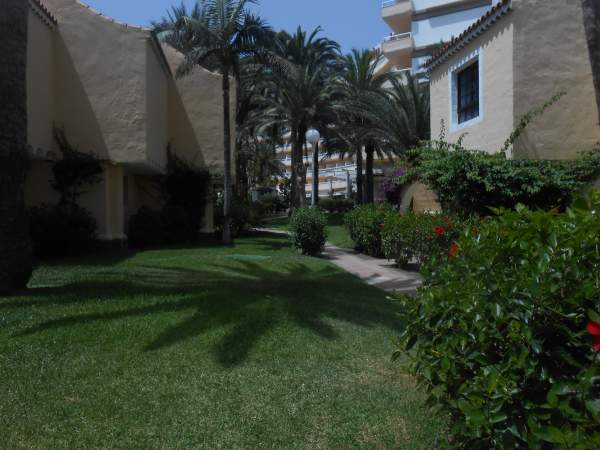 RIU Palmeras - Bild von 2014 RIU Palmeras - Bild von 2014