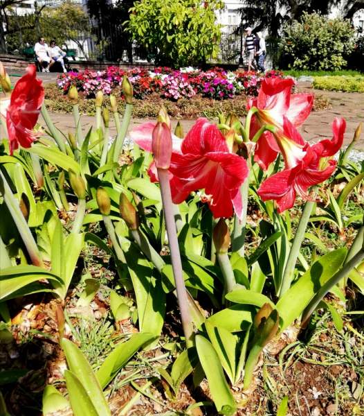 Santa Catarina Park in Funchal/Madeira