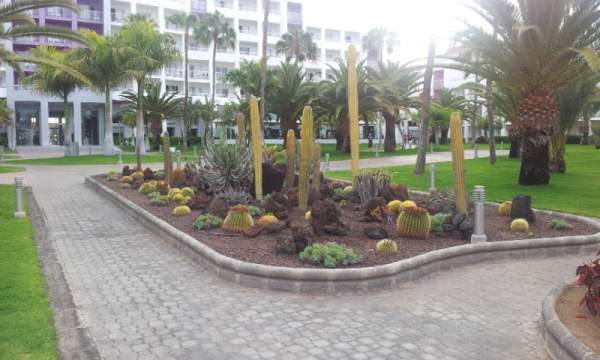 RIU Gran Canaria