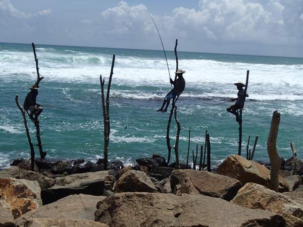 RIU Sri Lanka - September 2016