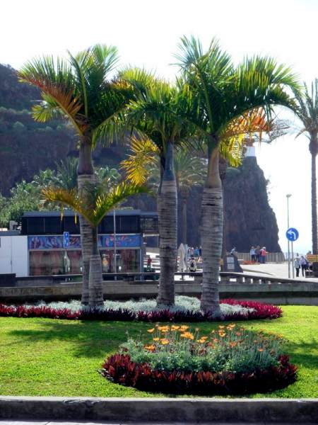 Ausflug nach Porto Moniz Madeira / Februar 2020