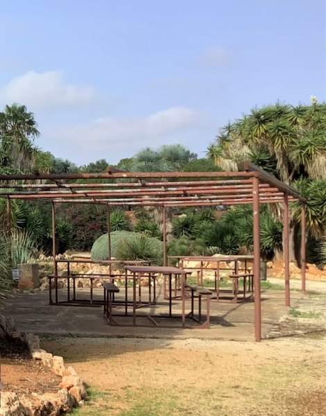 Botanicactus bei Santany / Mallorca im Oktober 2022 Botanicactus bei Santany / Mallorca im Oktober 2022
