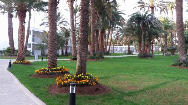 RIU Palace Oasis nach Umbau 10/18 RIU Palace Oasis nach Umbau 10/18