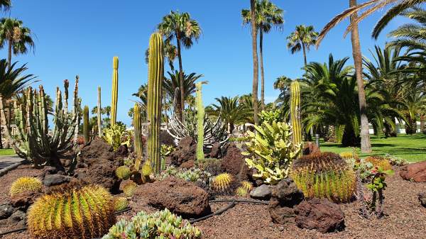 RIU Gran Canaria - Juni 2021 RIU Gran Canaria - Juni 2021