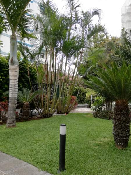 Hotel Vallemar, Puerto de la Cruz / Teneriffa, 07/24 Hotel Vallemar, Puerto de la Cruz / Teneriffa, 07/24