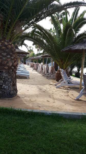 RIU Palace Tenerife RIU Palace Tenerife