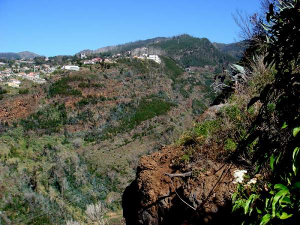 Botanischer Garten Funchal / Madeira