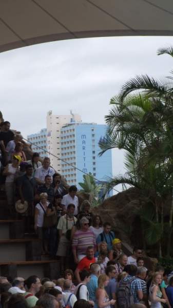 Loro Parque Puerto de la Cruz Tenerife Loro Parque Puerto de la Cruz Tenerife