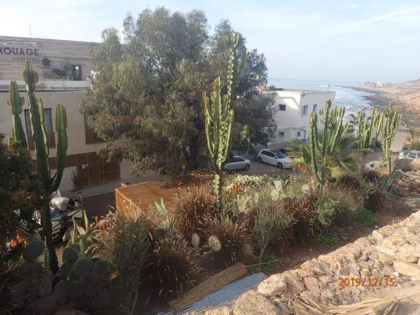 Ort Taghazout bei Agadir / Marokko - Dez. 2019