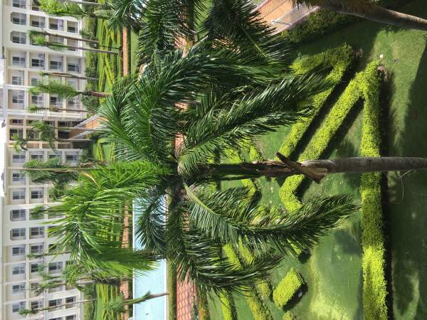 RIU Palace Punta Cana, Oktober 2017 RIU Palace Punta Cana, Oktober 2017