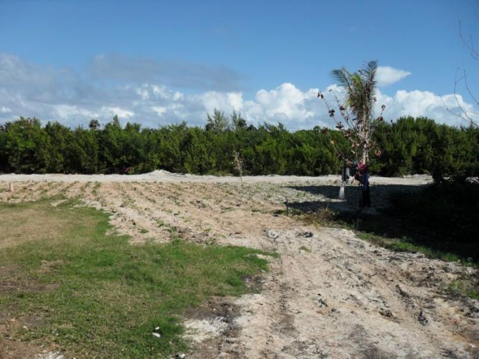 RIU Varadero - Gartenanlage