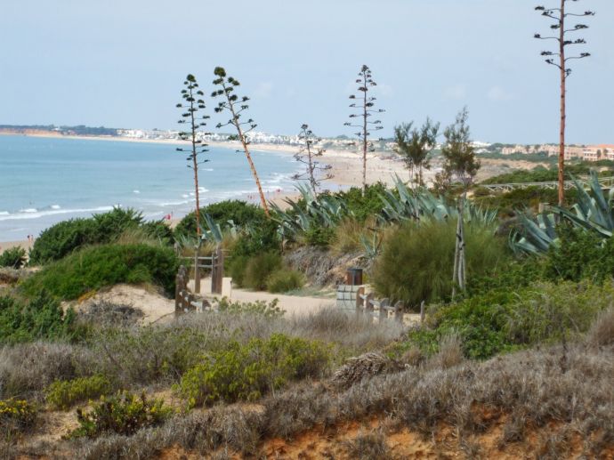 RIU Chiclana, Strand vom RIU Chiclana