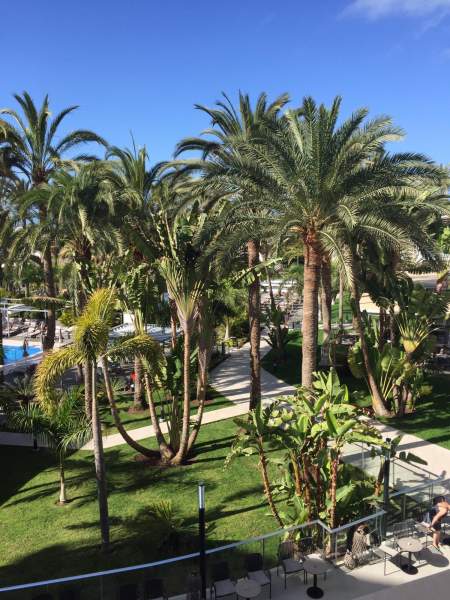RIU Palace Palmeras - Juli 2020 nach Corona RIU Palace Palmeras - Juli 2020 nach Corona