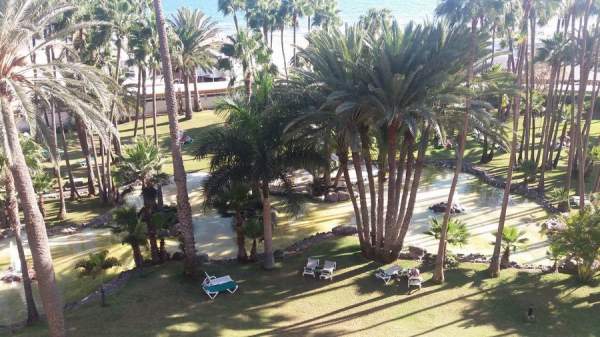 RIU Palace Oasis nach Umbau 10/18