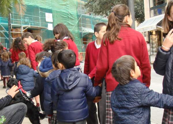 Beneides de Sant Antoni - Tiersegnung in Palma Januar 2014