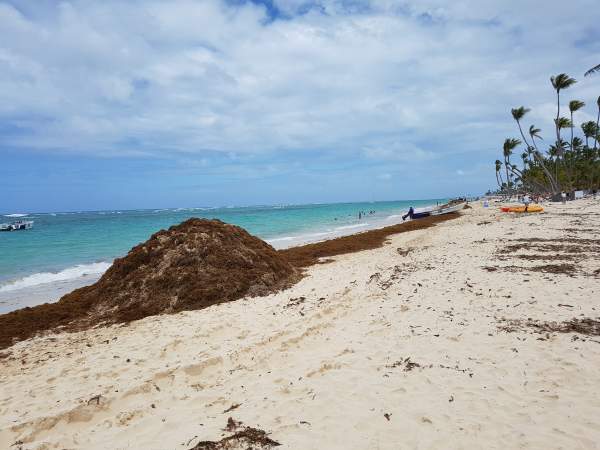 Traumstrand Punta Cana 05/18